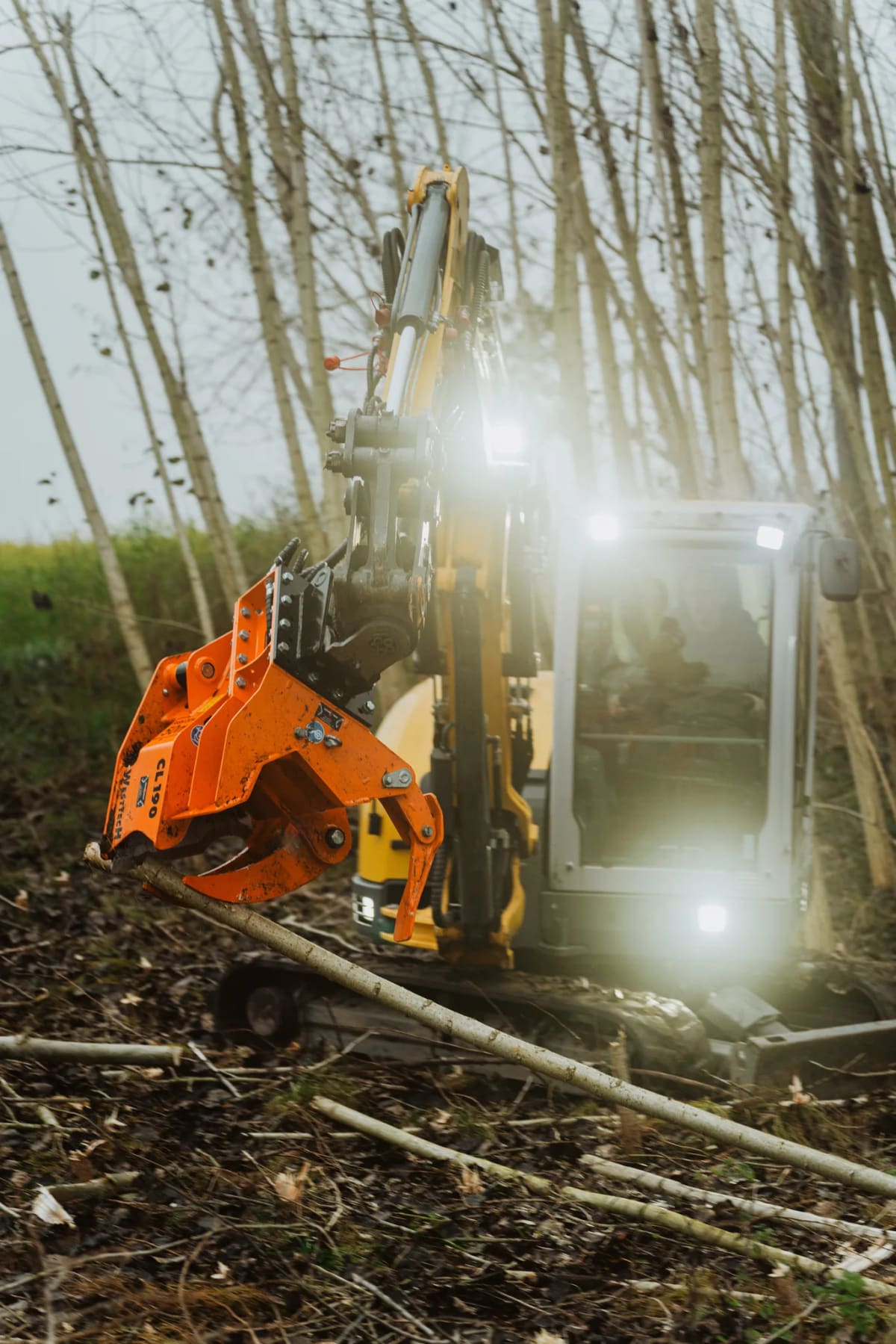 Bagger mit Fällgreifer erntet dünne Stämme im Jungbestand