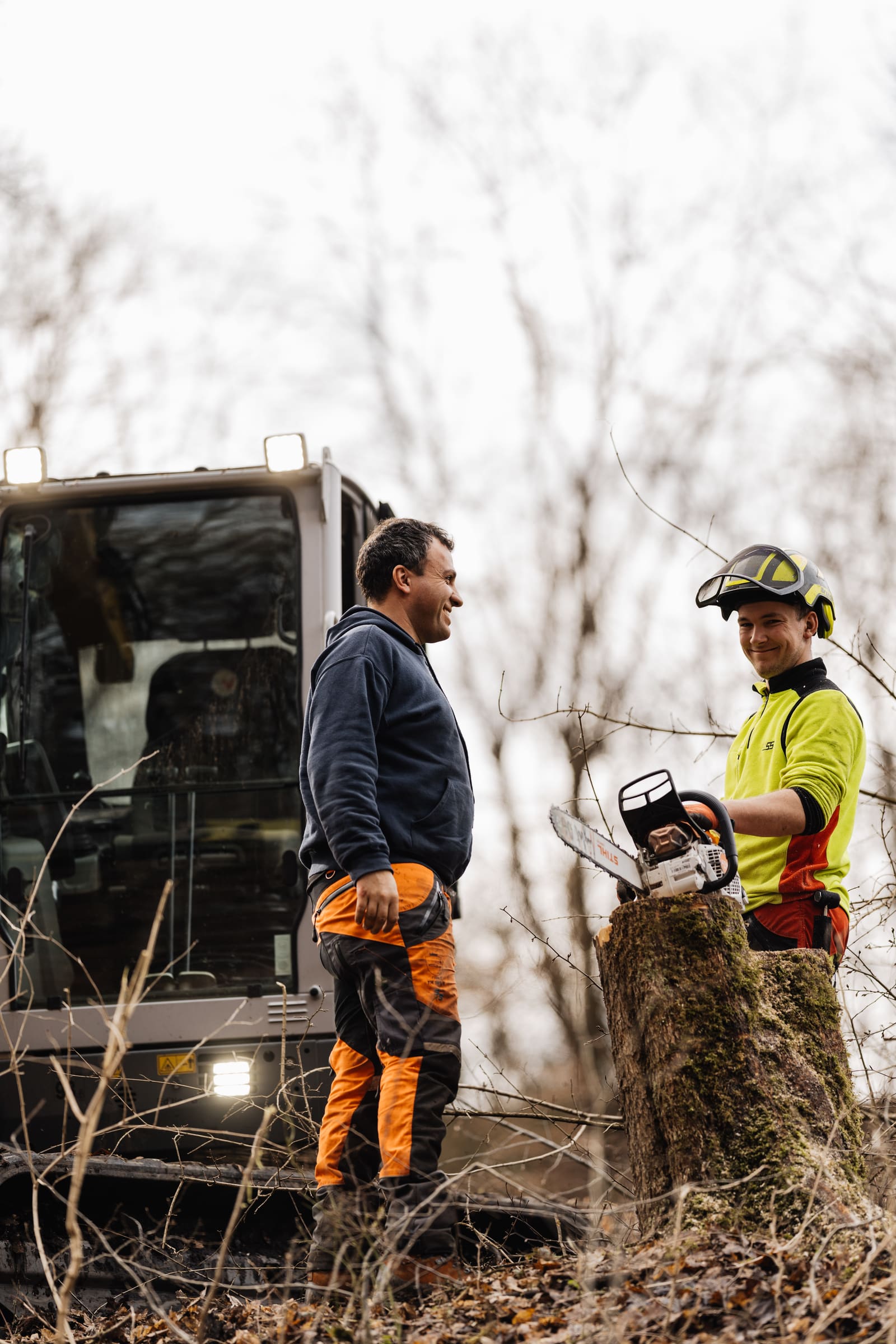 BrandlForst-Mitarbeiter arbeitet einen gefällten Stamm im Wald auf