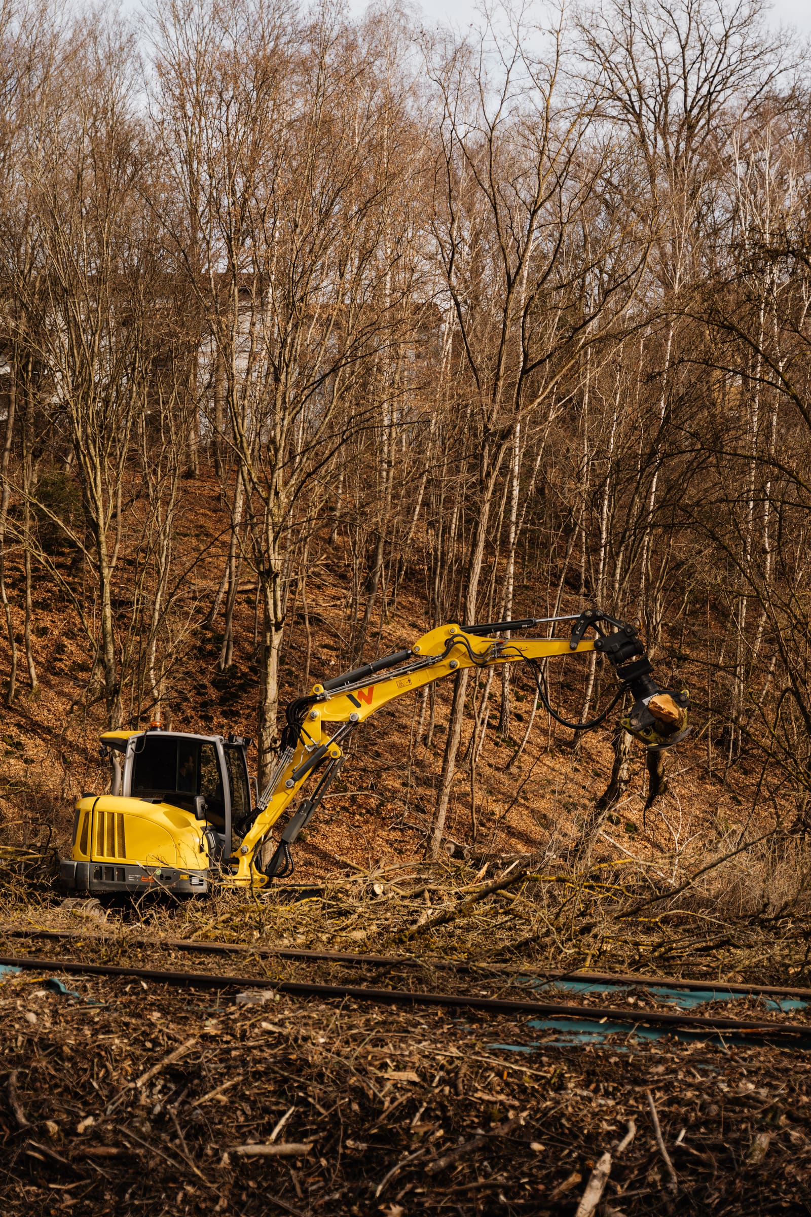 Bagger mit Greifer arbeitet in einem Waldstück im Raum Passau