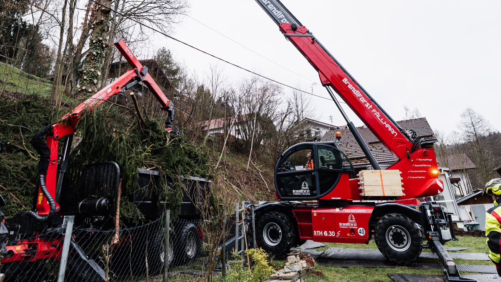 Fällkran mit Woodcracker-Greifer nimmt den Wipfel einer Fichte am Ortsrand ab, daneben ein Rückewagen