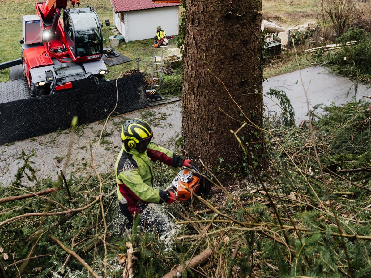 Forstwirt setzt den Fällschnitt am Stammfuß, während der Kran den Stamm oben sichert