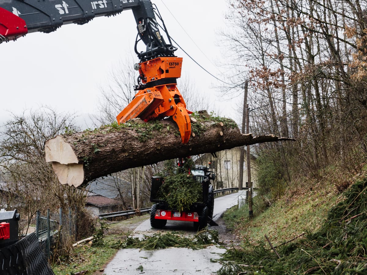 Fällkran trägt ein abgelängtes Stammstück über einen schmalen Weg zum Rückewagen