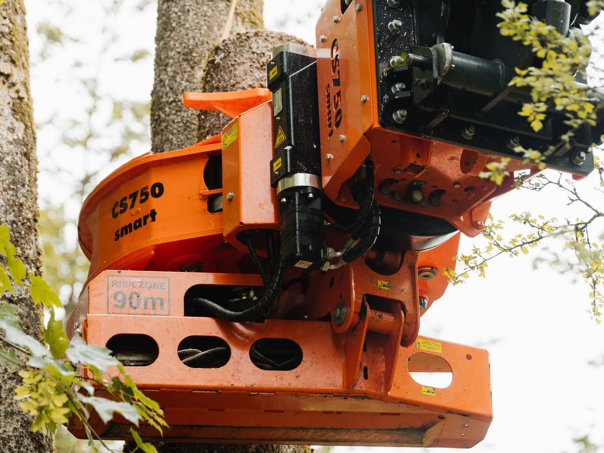 Woodcracker CS750 smart Fällgreifer im Einsatz an einem Stamm, Detailaufnahme