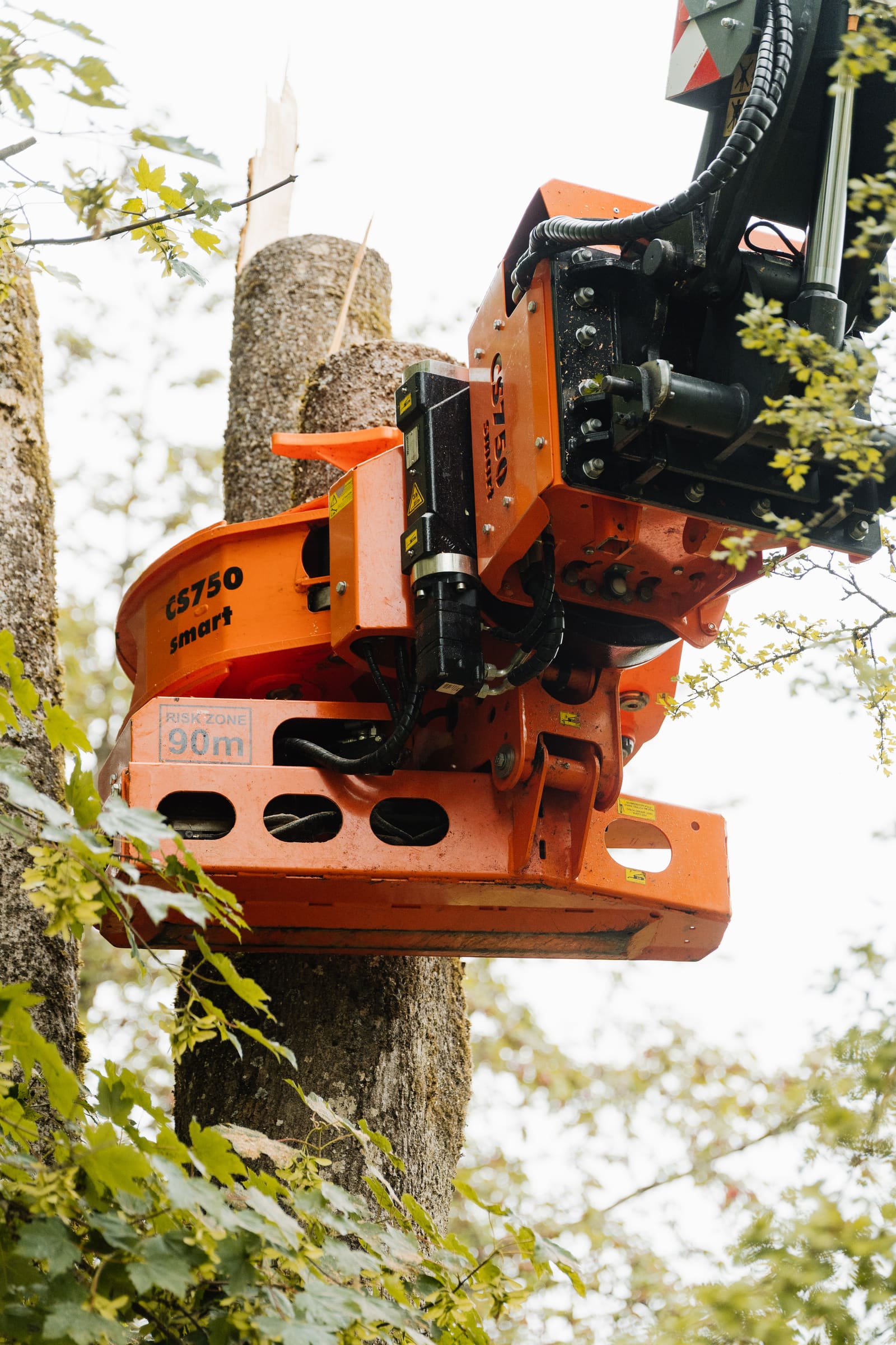 Woodcracker CS750 smart Fällgreifer im Einsatz an einem Stamm, Detailaufnahme